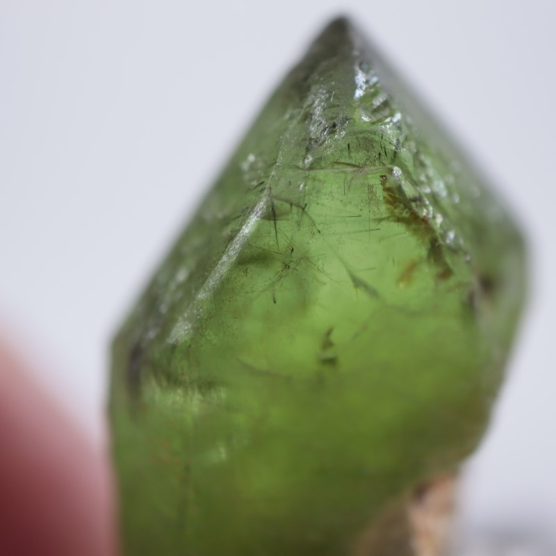 �ѥ������󻺡��ڥ�ɥå�