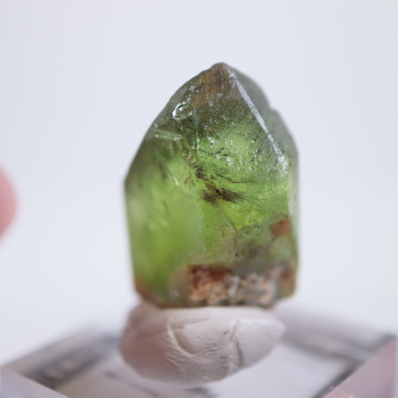 �ѥ������󻺡��ڥ�ɥå�