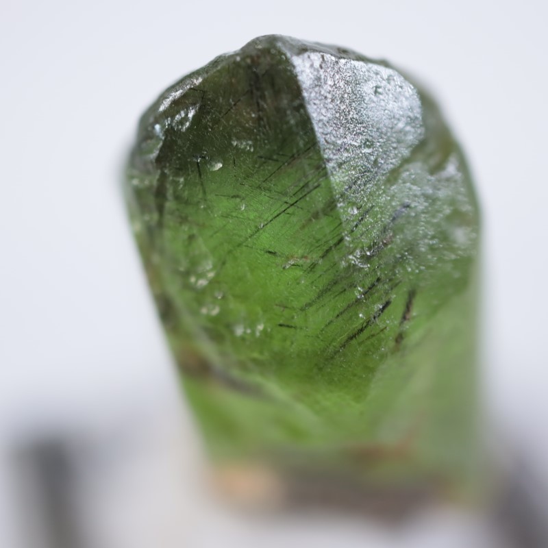 �ѥ������󻺡��ڥ�ɥå�