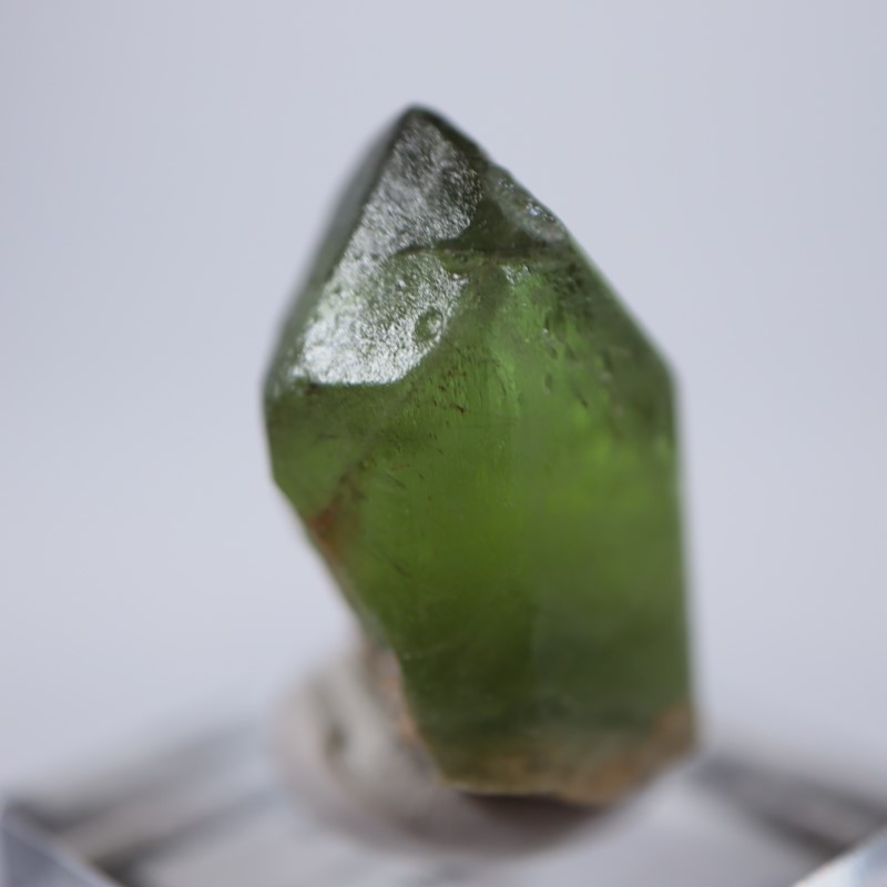 �ѥ������󻺡��ڥ�ɥå�