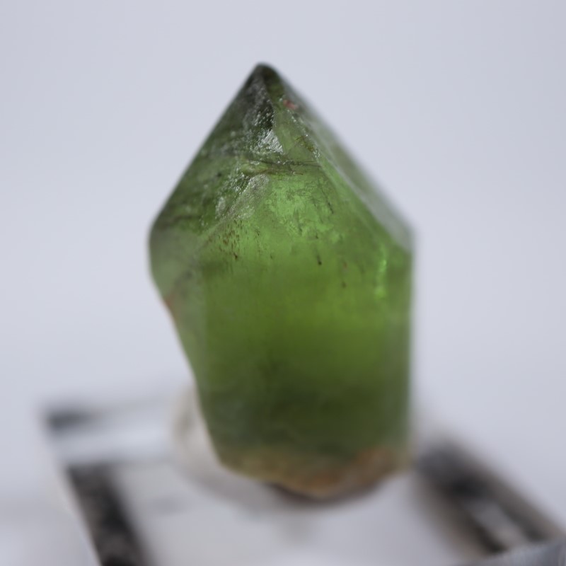 �ѥ������󻺡��ڥ�ɥå�