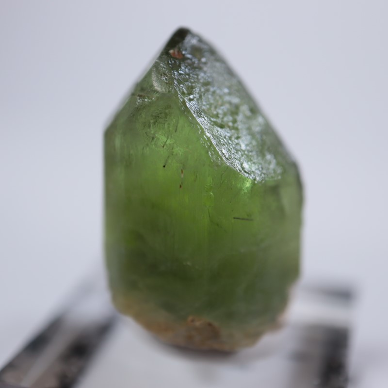 �ѥ������󻺡��ڥ�ɥå�