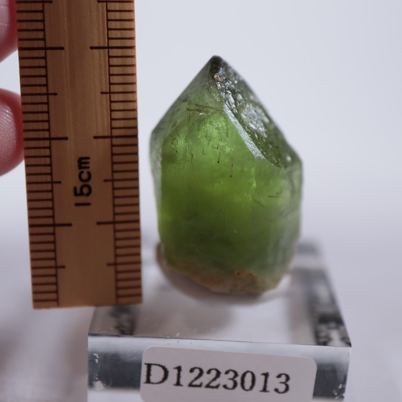 �ѥ������󻺡��ڥ�ɥå�