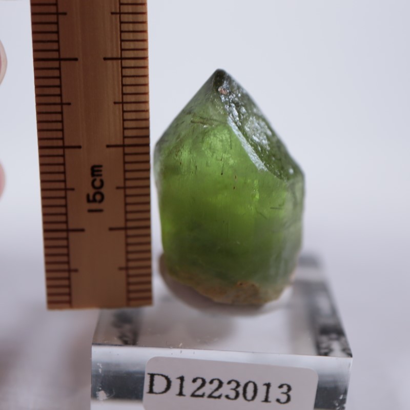 �ѥ������󻺡��ڥ�ɥå�