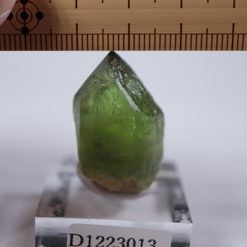 �ѥ������󻺡��ڥ�ɥå�