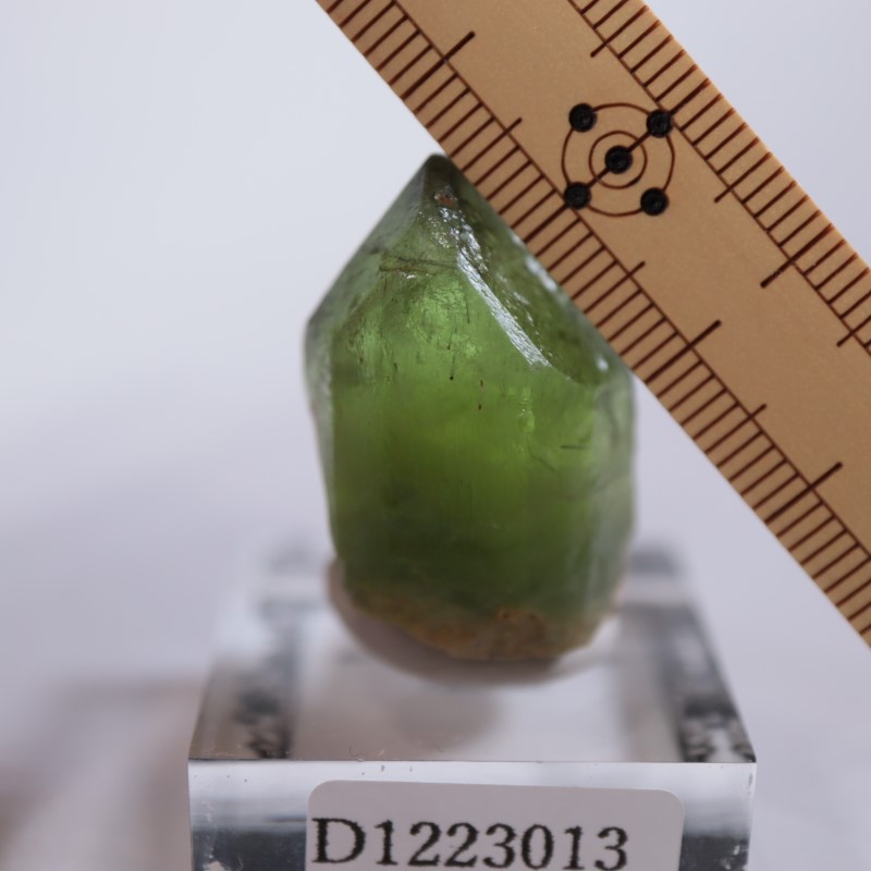 �ѥ������󻺡��ڥ�ɥå�