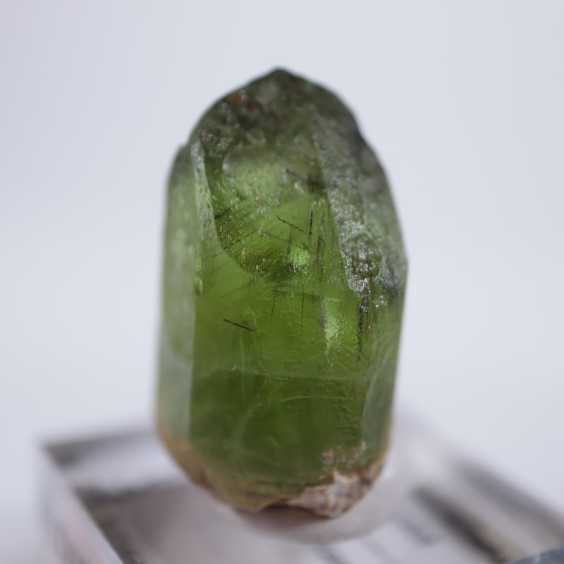 �ѥ������󻺡��ڥ�ɥå�