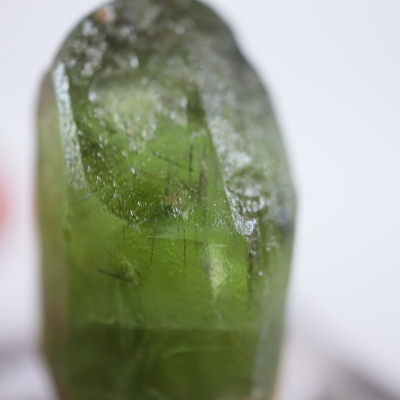 �ѥ������󻺡��ڥ�ɥå�