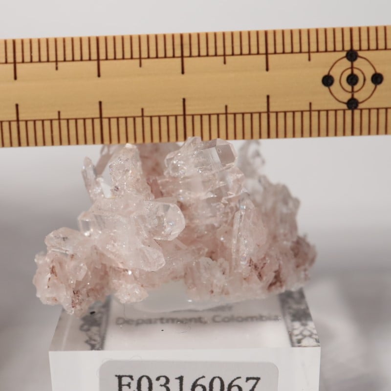 コロンビア産 ピンクリチウム水晶 | 鉱物標本,カ行,クォーツ