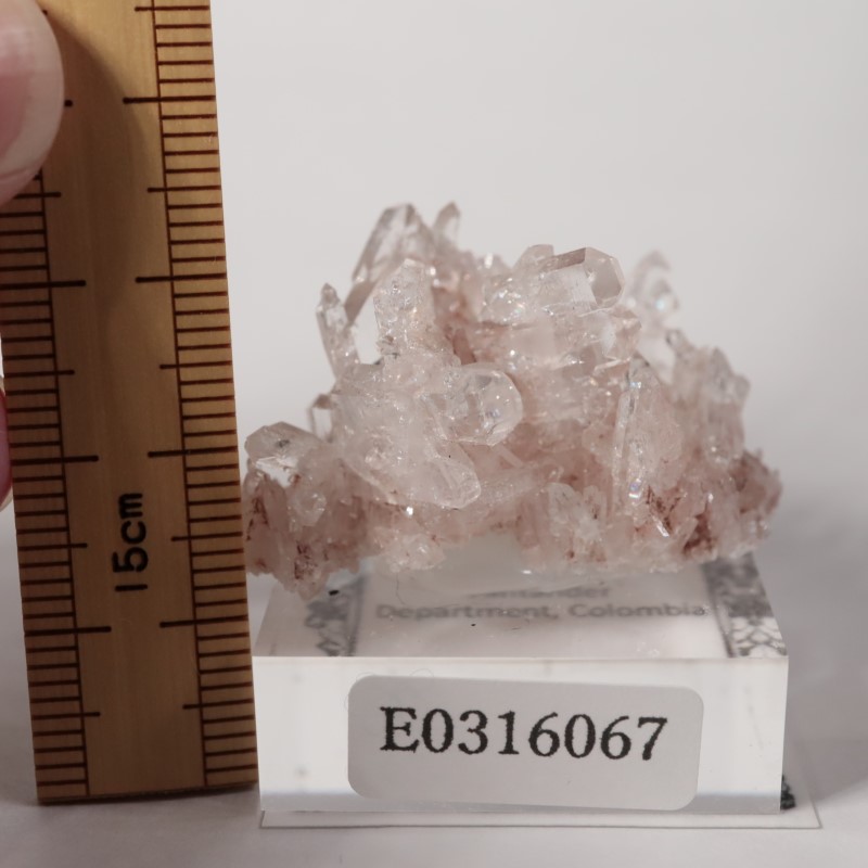 コロンビア産 ピンクリチウム水晶 | 鉱物標本,カ行,クォーツ/水晶