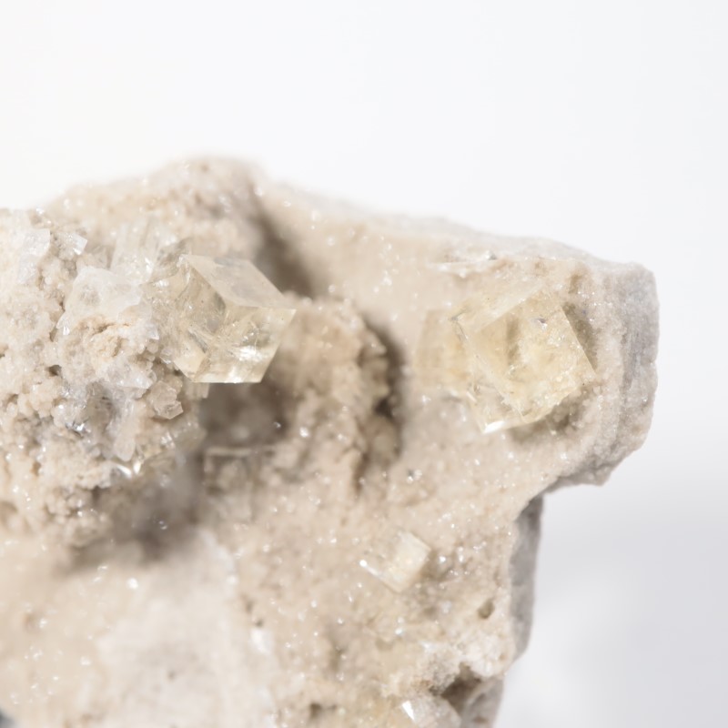 ���쥤���󥿡��� �ե����饤��