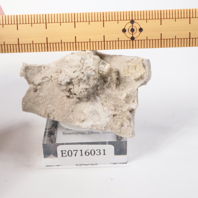 ���쥤���󥿡��� �ե����饤��