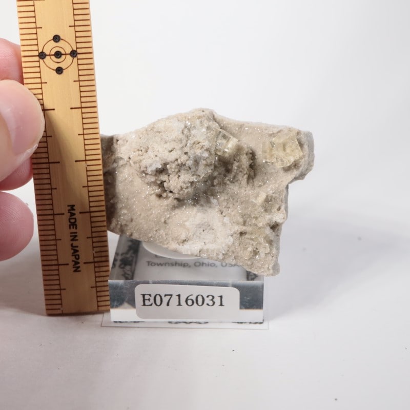 ���쥤���󥿡��� �ե����饤��