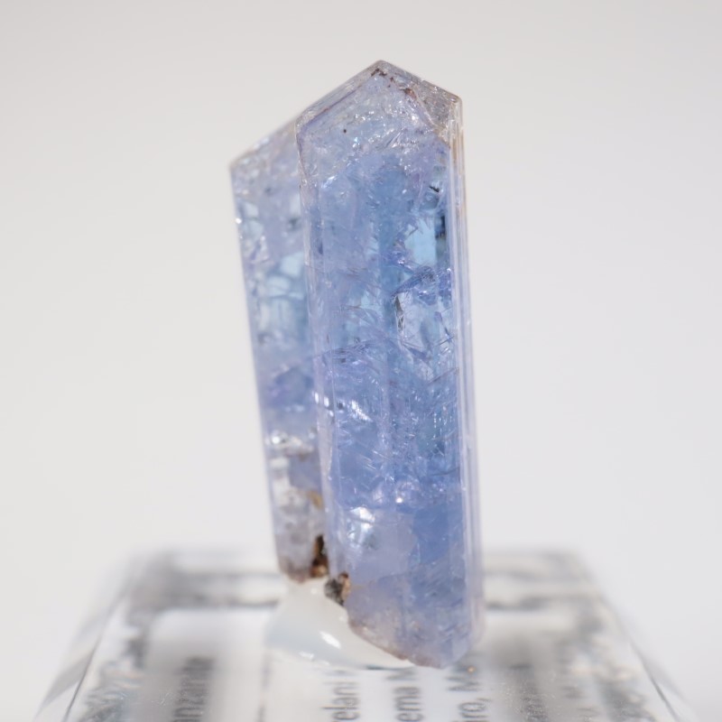 ����˥ҥ륺�� ���󥶥ʥ���