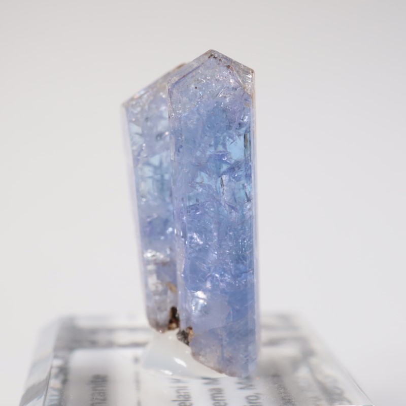 ����˥ҥ륺�� ���󥶥ʥ���