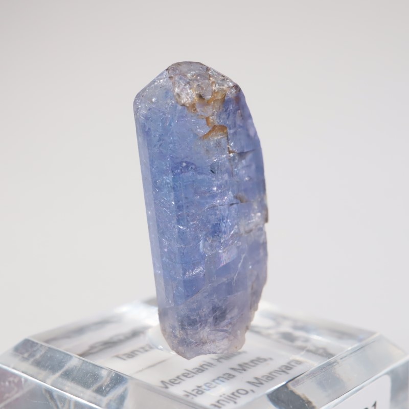 ����˥ҥ륺�� ���󥶥ʥ���