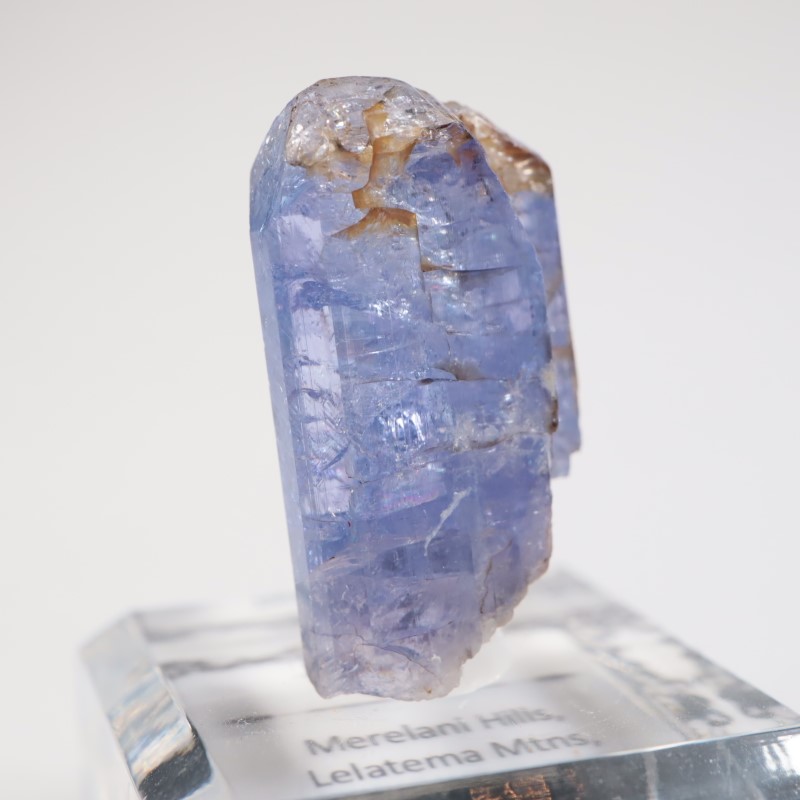 ����˥ҥ륺�� ���󥶥ʥ���