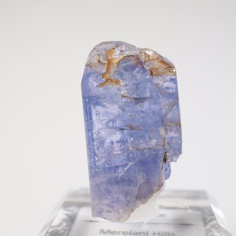 ����˥ҥ륺�� ���󥶥ʥ���