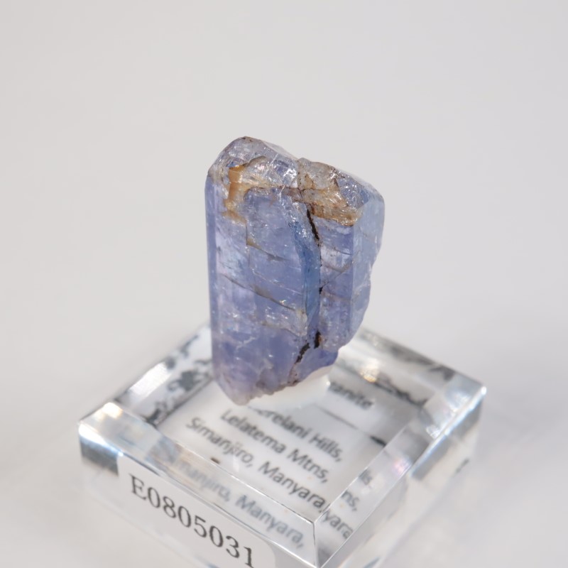 ����˥ҥ륺�� ���󥶥ʥ���