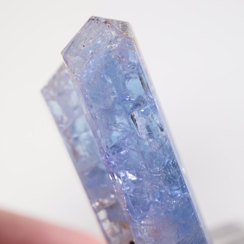 ����˥ҥ륺�� ���󥶥ʥ���