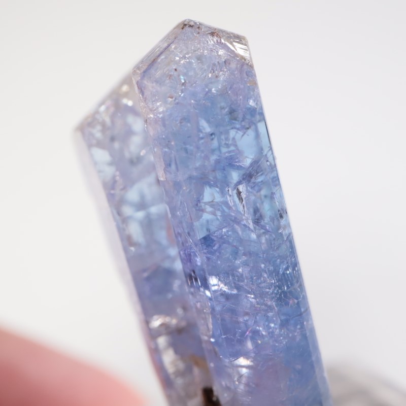 ����˥ҥ륺�� ���󥶥ʥ���