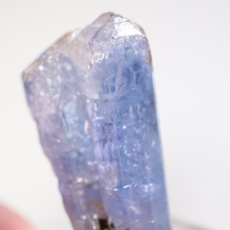 ����˥ҥ륺�� ���󥶥ʥ���