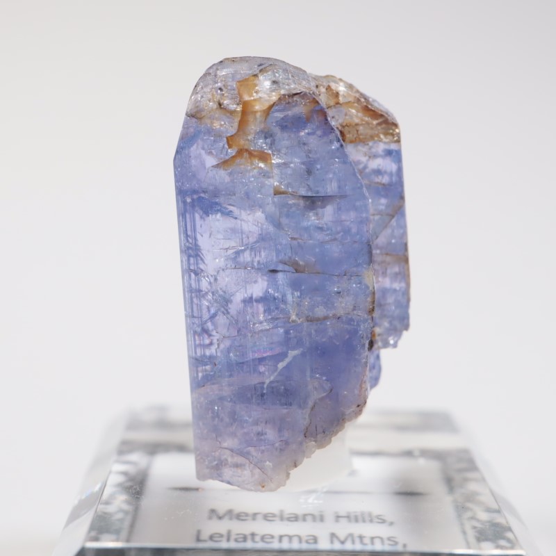 ����˥ҥ륺�� ���󥶥ʥ���