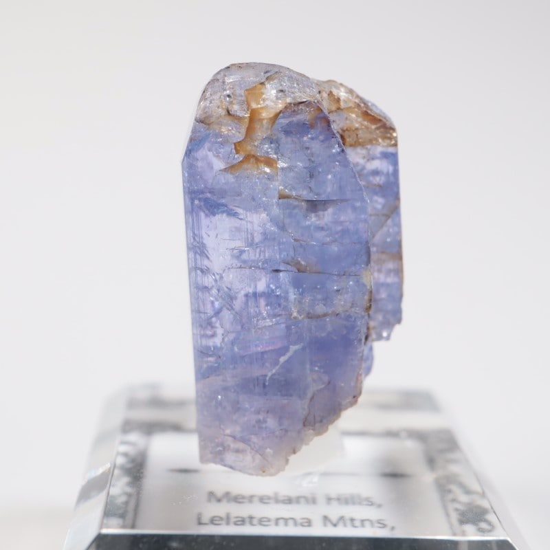 ����˥ҥ륺�� ���󥶥ʥ���