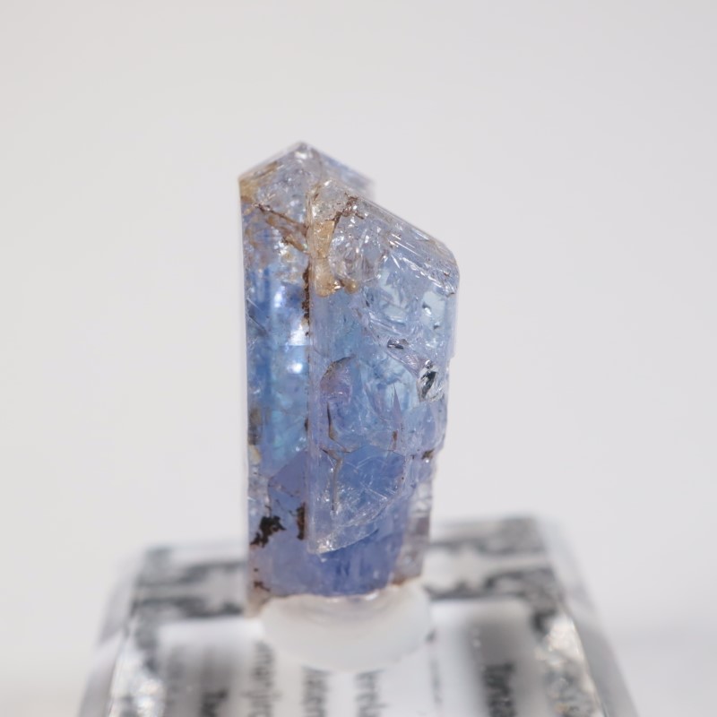 ����˥ҥ륺�� ���󥶥ʥ���