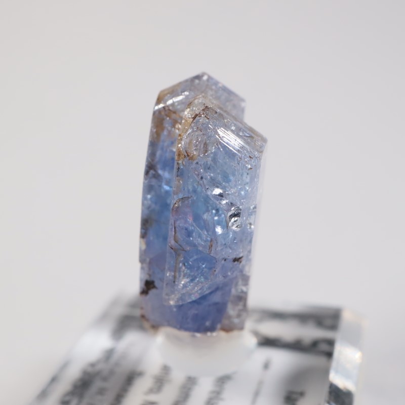 ����˥ҥ륺�� ���󥶥ʥ���