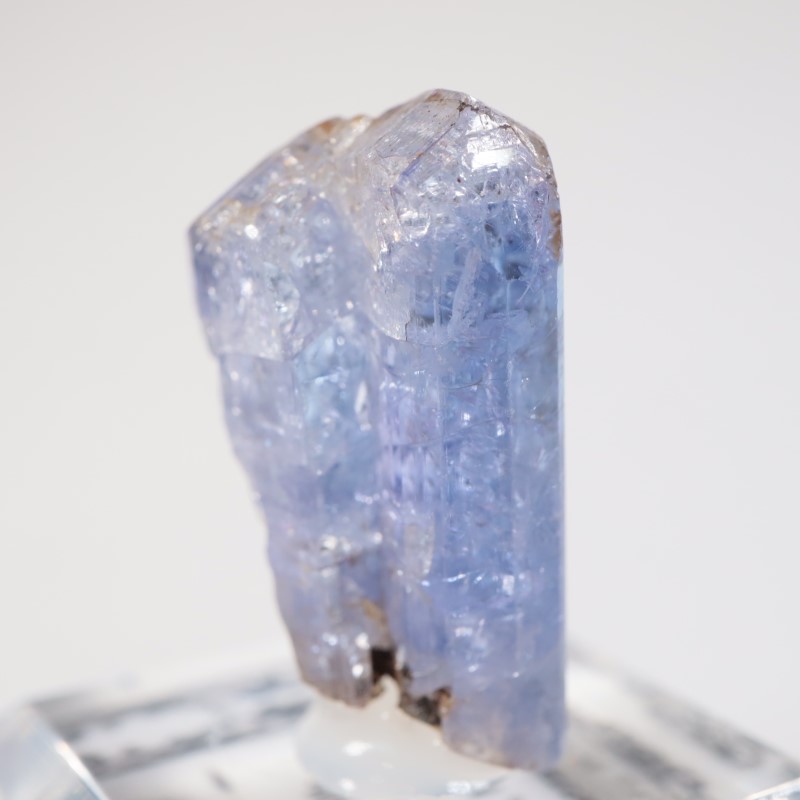 ����˥ҥ륺�� ���󥶥ʥ���