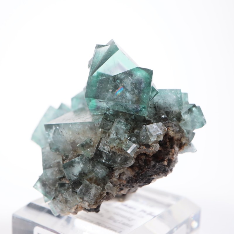 �ե����꡼�ۡ��륺�ۻ����ե����饤��