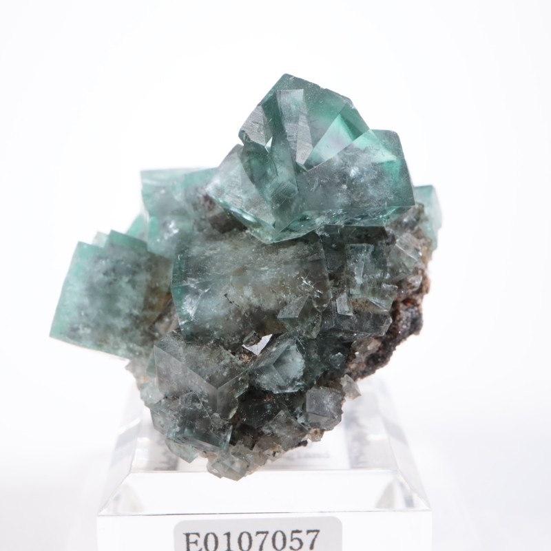 �ե����꡼�ۡ��륺�ۻ����ե����饤��