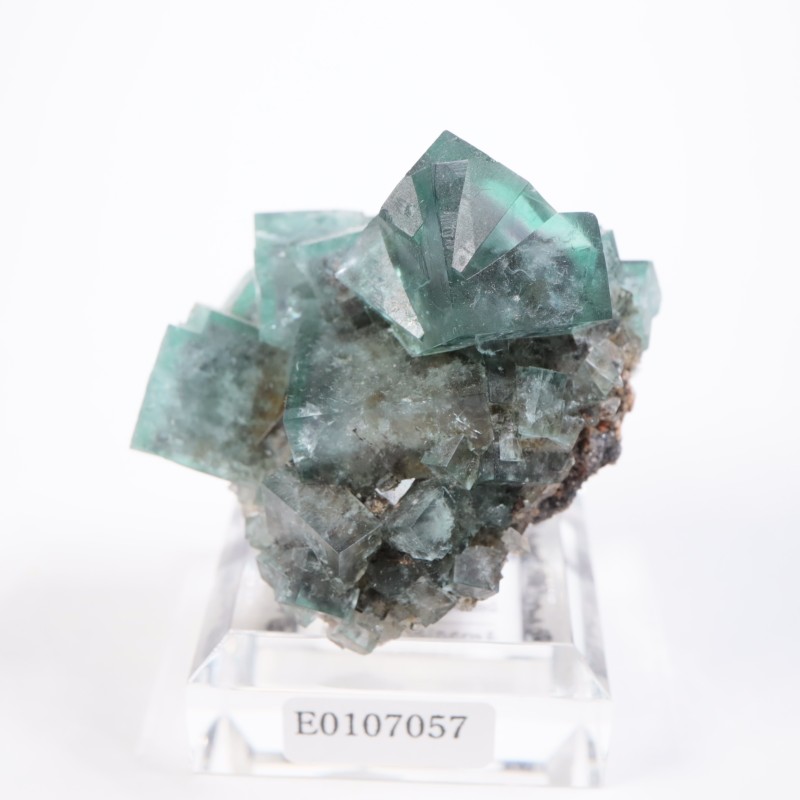 �ե����꡼�ۡ��륺�ۻ����ե����饤��