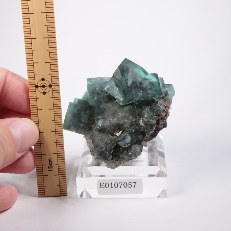 �ե����꡼�ۡ��륺�ۻ����ե����饤��