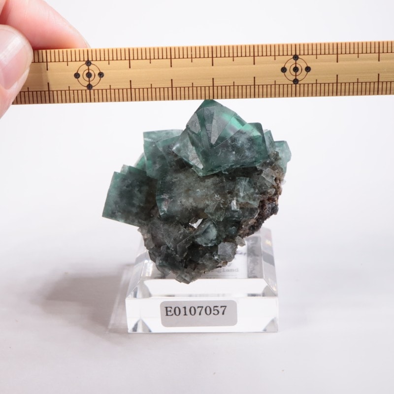 �ե����꡼�ۡ��륺�ۻ����ե����饤��