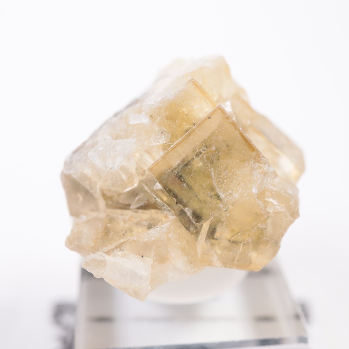 �⥹���ʹۻ� �ե����饤��