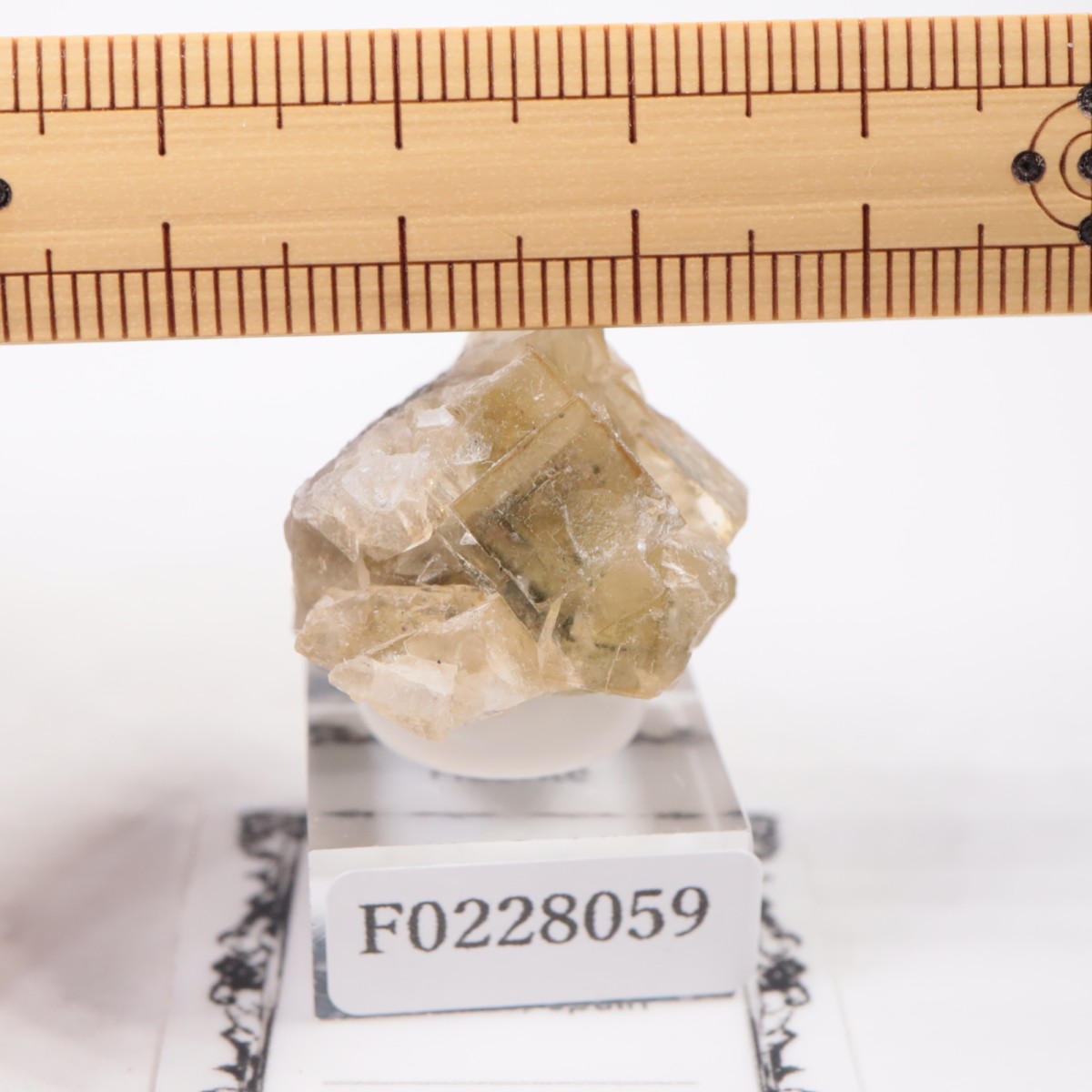 �⥹���ʹۻ� �ե����饤��