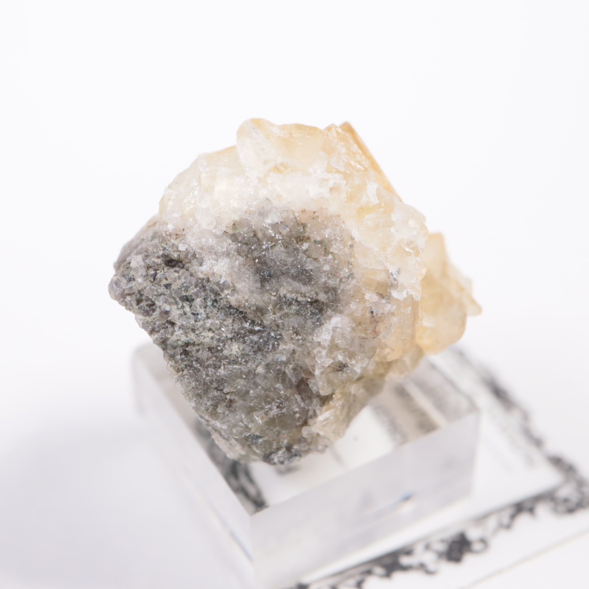 �⥹���ʹۻ� �ե����饤��