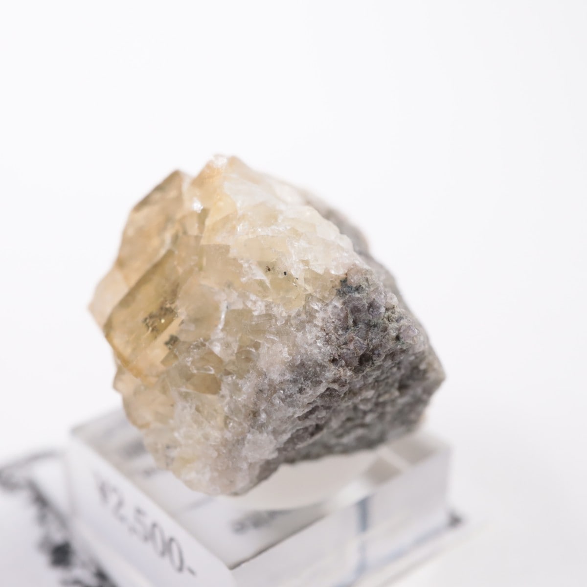 �⥹���ʹۻ� �ե����饤��