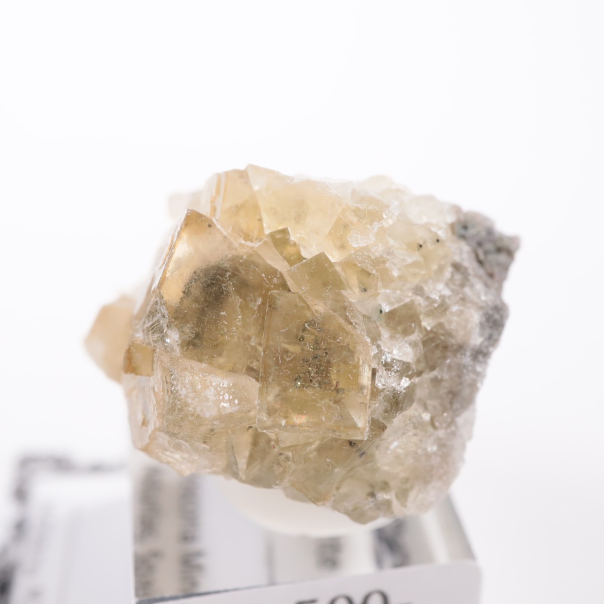 �⥹���ʹۻ� �ե����饤��