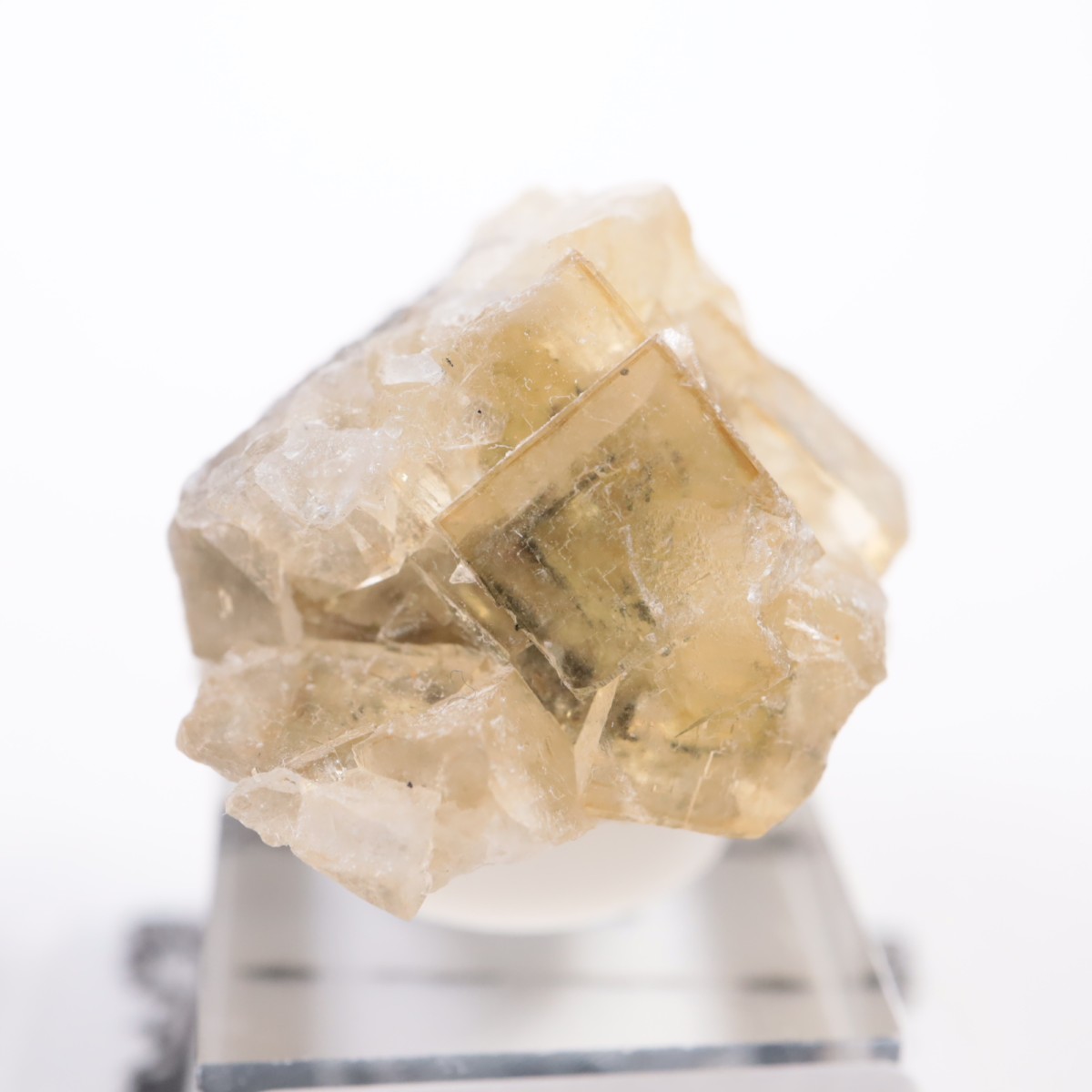 �⥹���ʹۻ� �ե����饤��