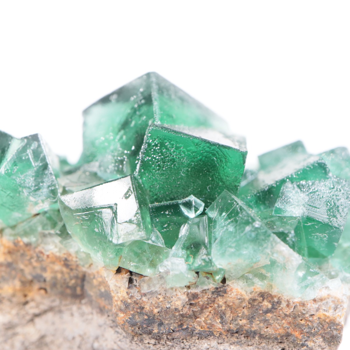 Greedy Hog Pocket�� �ե����饤��