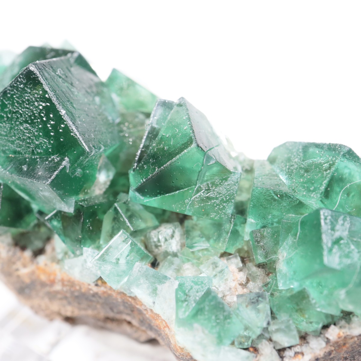 Greedy Hog Pocket�� �ե����饤��