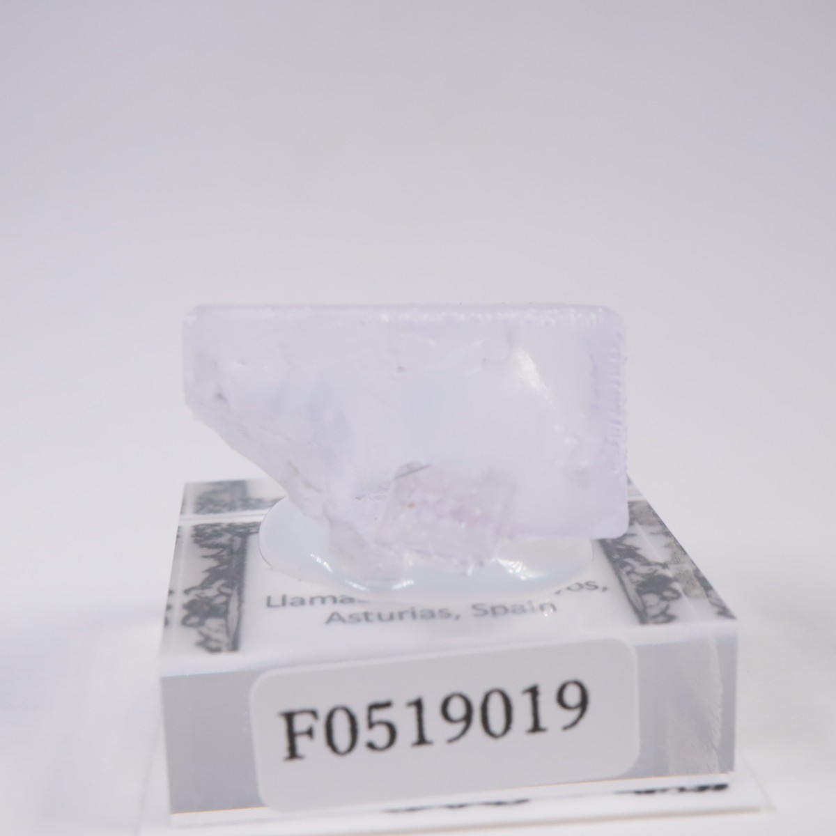 ���ڥ��� �ե����饤��