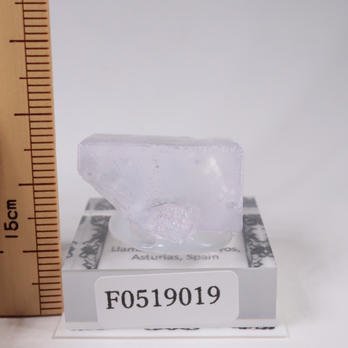 ���ڥ��� �ե����饤��