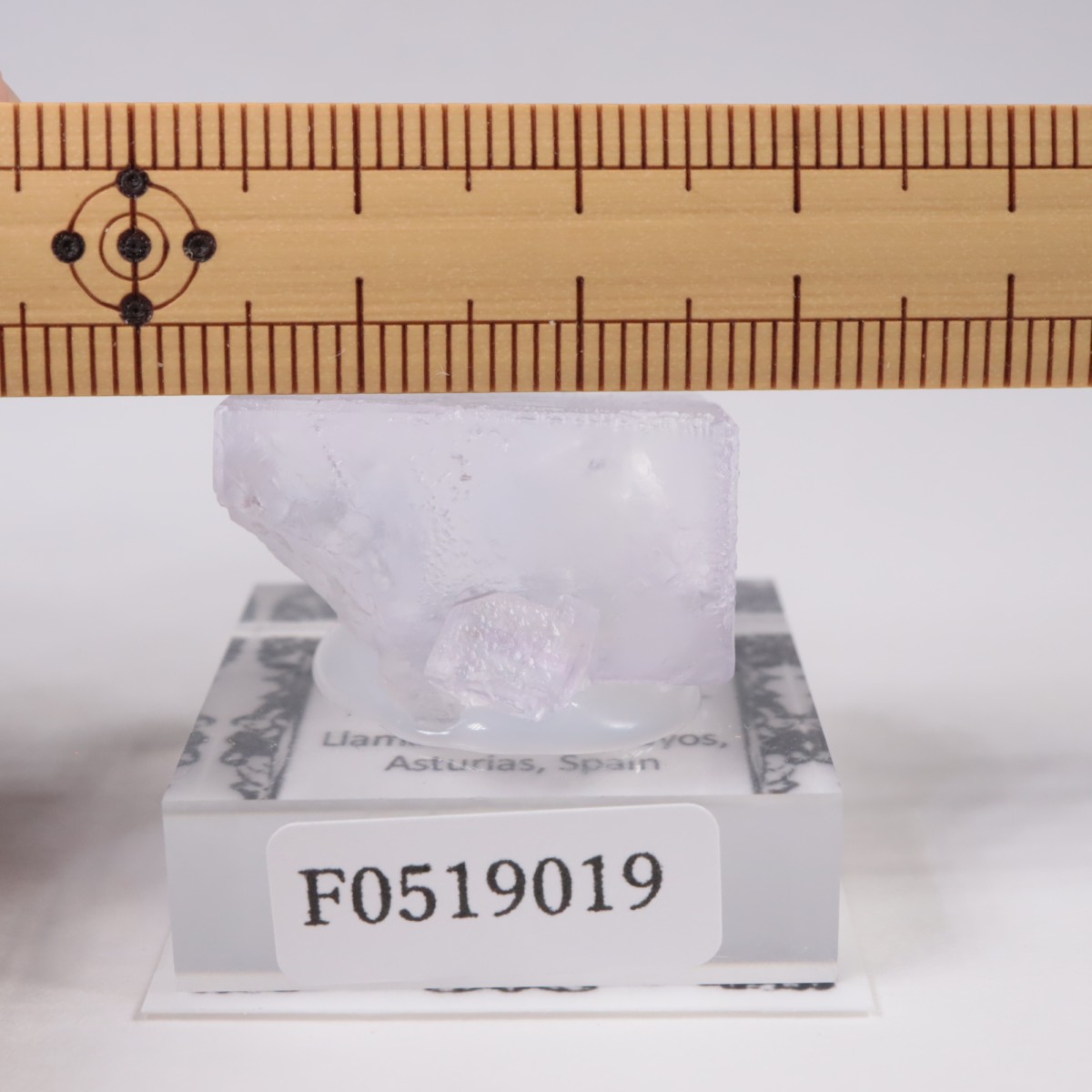 ���ڥ��� �ե����饤��