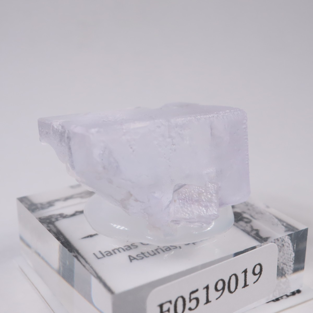 ���ڥ��� �ե����饤��