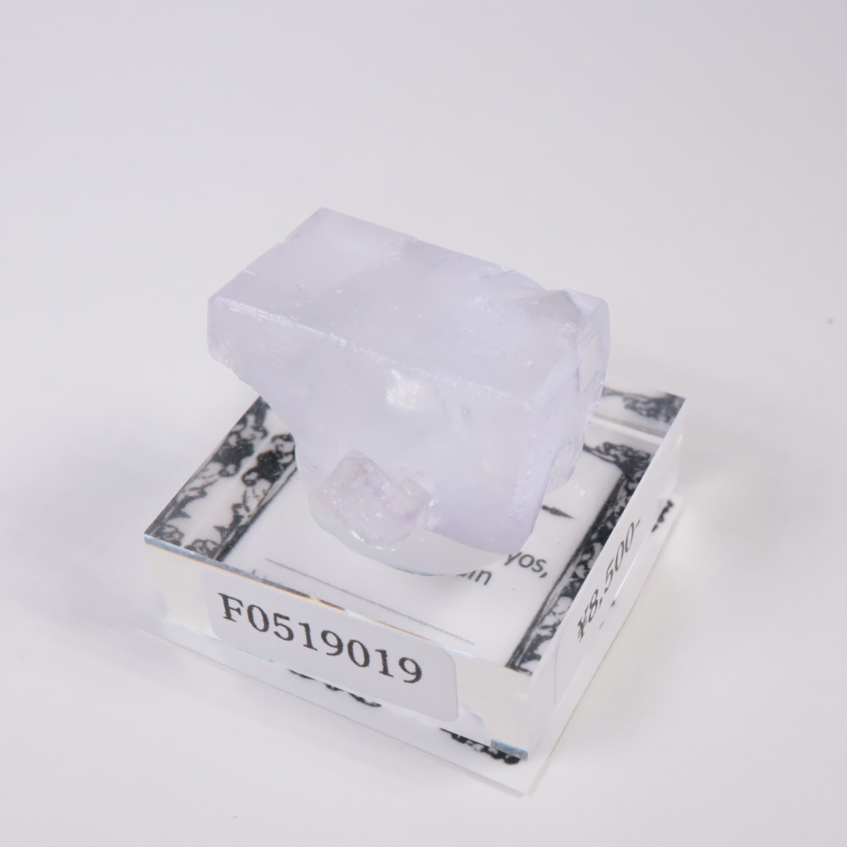 ���ڥ��� �ե����饤��