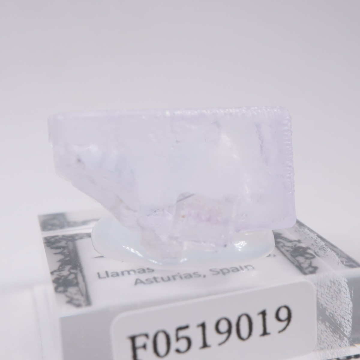 ���ڥ��� �ե����饤��